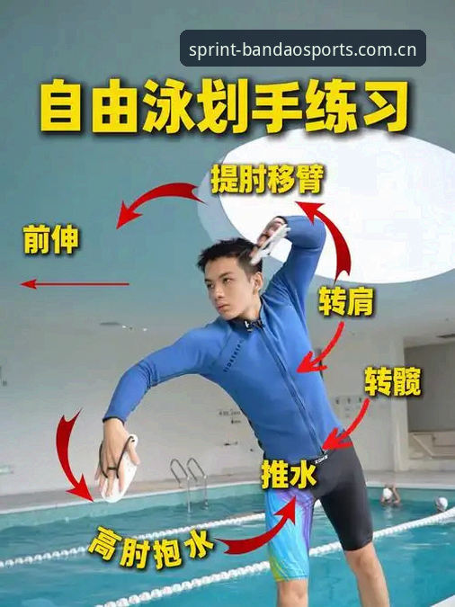 半岛体育教程使用技巧 半岛体育教程使用技巧:如何从新手快速变身高手?
